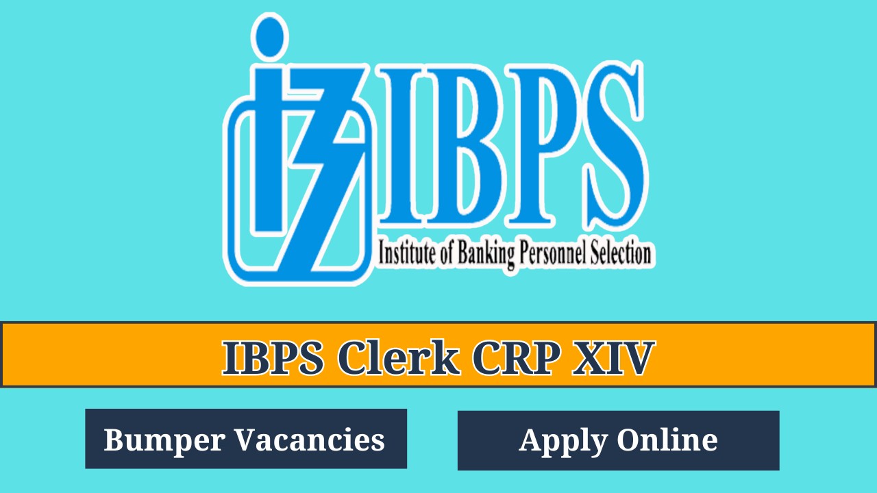 IBPS Clerk CRP XIV Recruitment